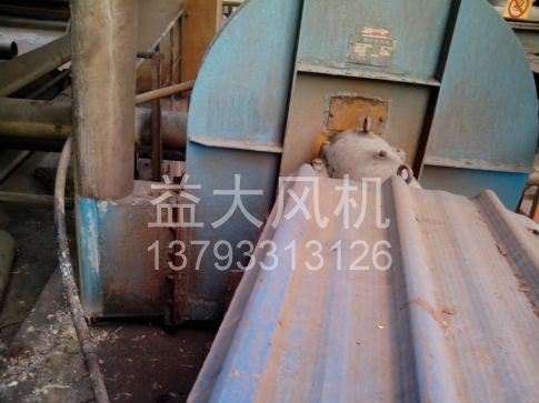 Explosion proof centrifugal fan