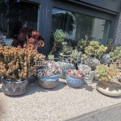 Explosion proof centrifugal fan