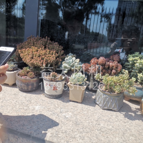 Explosion proof centrifugal fan