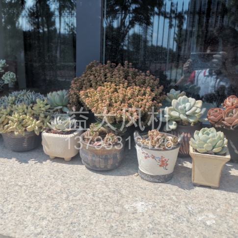 Explosion proof centrifugal fan