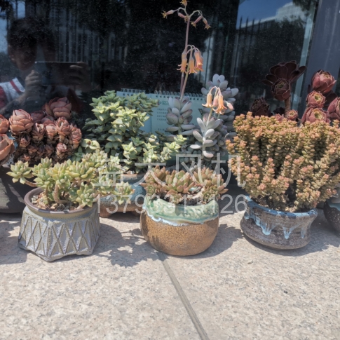 Explosion proof centrifugal fan