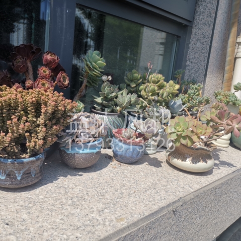 Explosion proof centrifugal fan