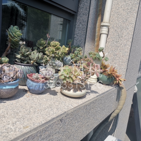 Explosion proof centrifugal fan